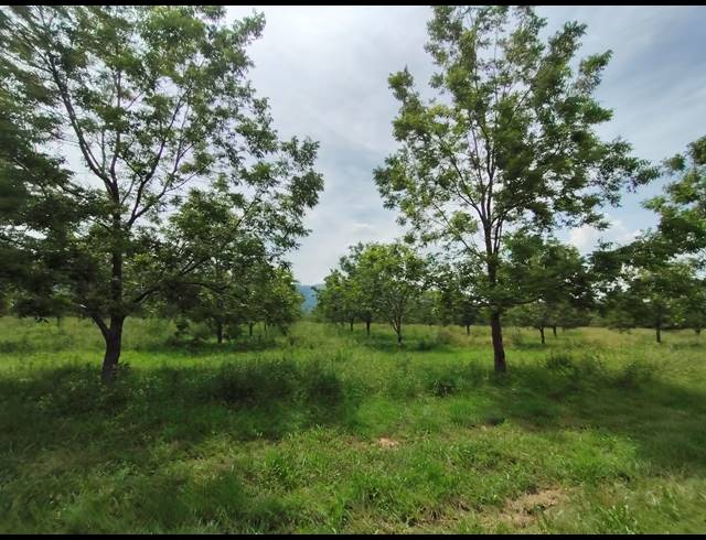 96HA FARM FOR SALE IN HEKPOORT